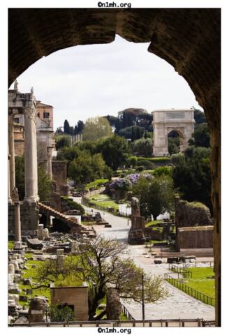 n1mh.org-roma-17