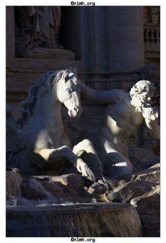n1mh.org-roma-20